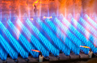 Barony gas fired boilers